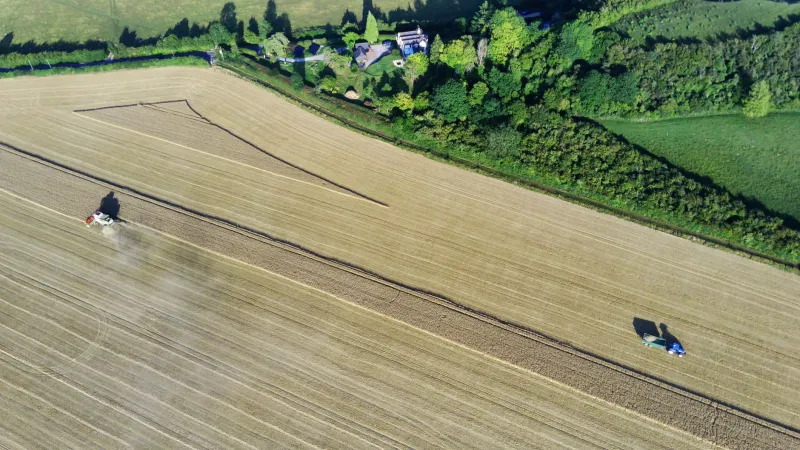 From Soil to Stitch: The British Smallholders Growing Their Own Fabric